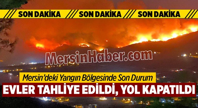 Yangın Bölgesinde Haneler Boşaltıldı, Karayolu Ulaşıma Kapatıldı