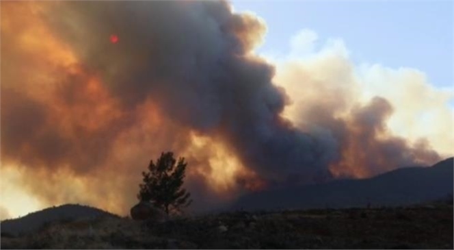 Gülnar Yangın Bölgesinden Sevindiren Haber