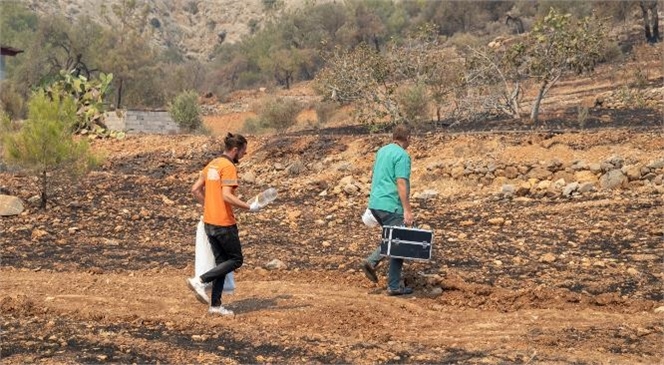 Büyükşehir, Yangın Bölgesindeki Can Dostlarını Unutmadı