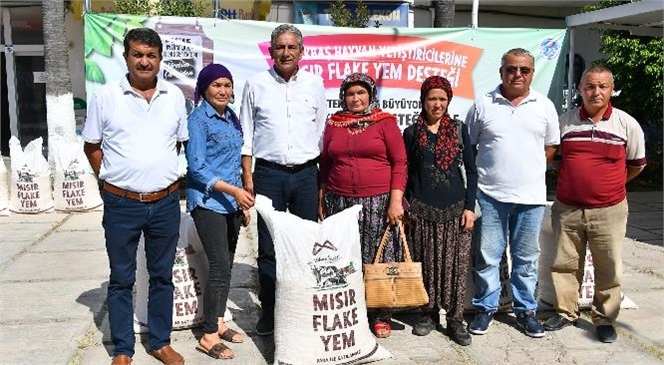 Erdemlili Yetiştiricilere Yüzde 50 Hibeli Yem Desteği