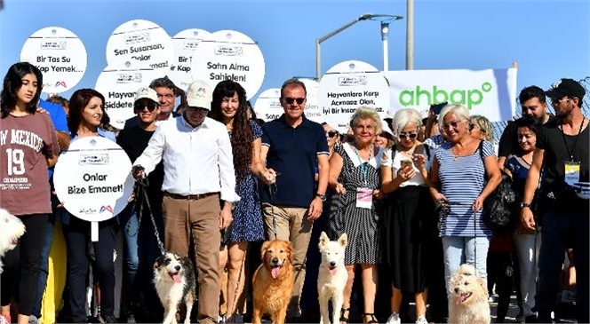 Mersin Büyükşehir Belediyesi Tarafından Bu Yıl 3.’sü Düzenlenen Mersin Patifest, Hayvanseverlerden Büyük Beğeni Aldı