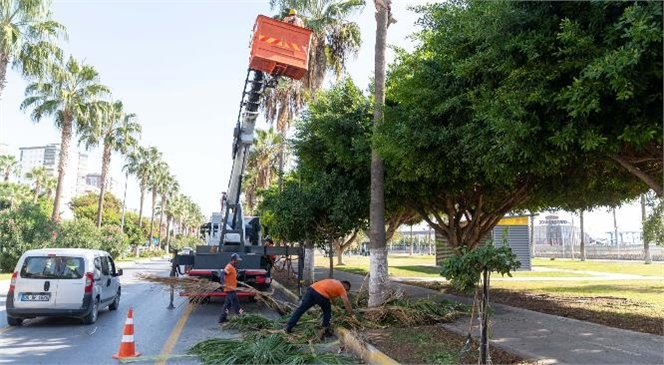 Mersin’in Tüm Yeşil Alanlarının Kış Bakımı Yapılıyor