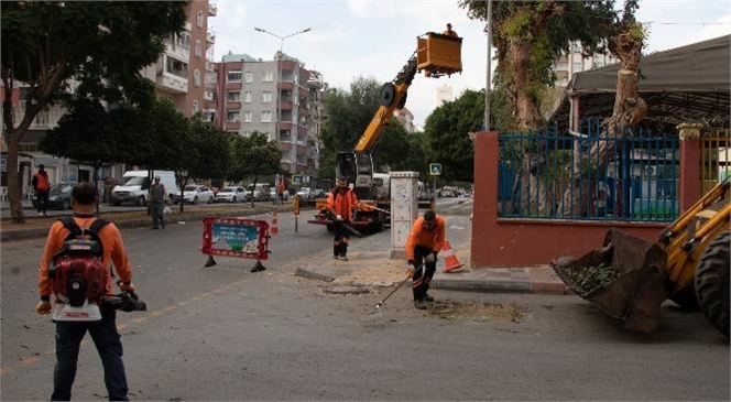 Kent Genelinde Sonbahar Temizliği Yapılıyor