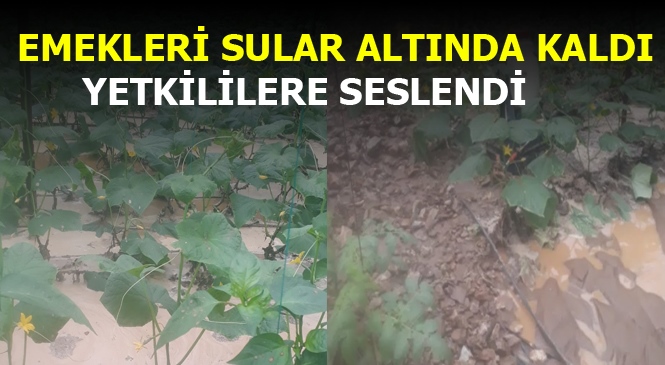 Mersin’de Sular Altında Kalan Sera Sahibi Yetkililerden Yardım Bekliyor