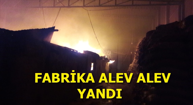Mersin'de Defne Fabrikası Alev Alev Yandı