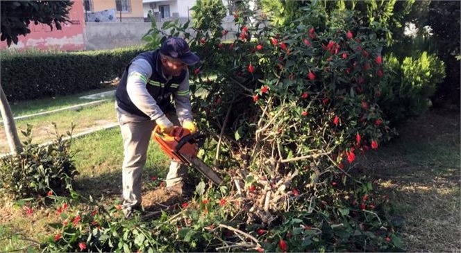 Akdeniz Belediyesi, Park, Bahçe ve Yeşil Alanları Elden Geçiriyor