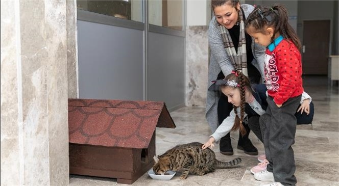 Mersin Büyükşehir’in Küçük Sürprizi, Büyük Mutluluk Yarattı