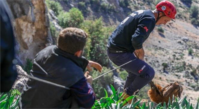 Kurtarılan Keçilere İlk Suyu Kahraman İtfaiyeciler İçirdi