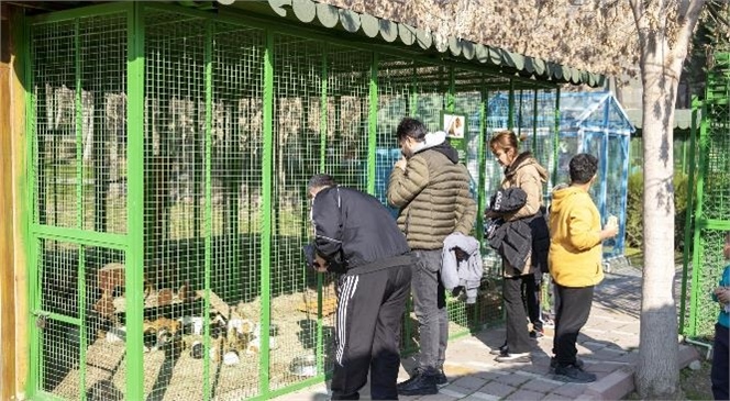 Her Gün Binlerce Kişiyi Ağırlayan Tarsus Doğa Parkı, Çekim Merkezi Haline Geldi