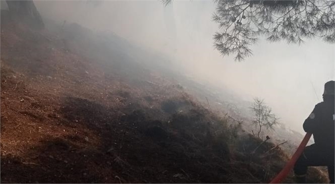 Mersin Tarsus'ta Orman Yangını Çıktı