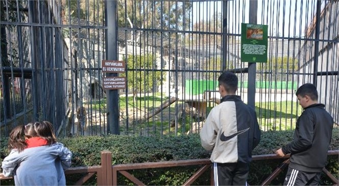 Tarsus’ta Farklı Noktalara Sığınan Deprem Mağduru Vatandaşlar, Doğa Parkı’na Götürüldü