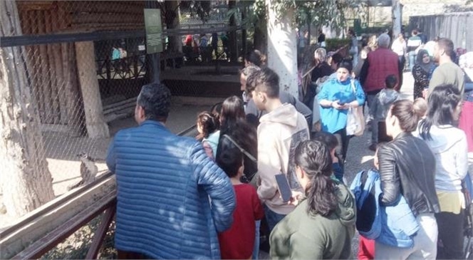 Tarsus Doğa Parkı, Yaşanan Yıkıcı Depremler Sonrasında Aileleriyle Birlikte Bölgeye Gelen Çocuklara Moral Alanı Olmaya Devam Ediyor