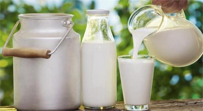 Tarım ve Orman Bakanlığı, Çiğ Süt Desteği Ödemelerine İlişkin Usul ve Esasları Belirledi