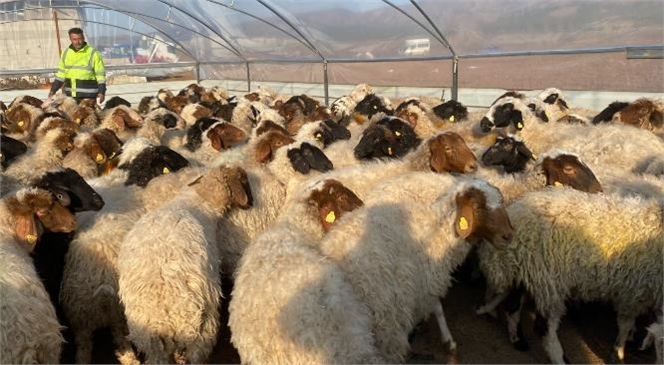 Erdemli Belediyesi Ekipleri Depremden Etkilenen Vatandaşlar İçin Çalışmalara Aralıksız Devam Ediyor