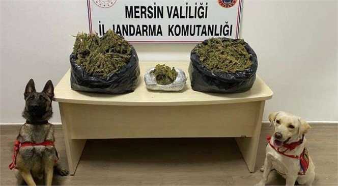 Mersin İl Jandarma Komutanlığı Ekipleri Uyuşturucu Madde Ticareti Yapan Şahıslara Yönelik Düzenlediği Operasyonda 2 Şüpheliyi Kıskıvrak Yakaladı