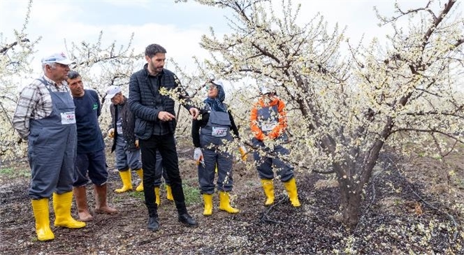 Mersin Büyükşehir ‘gıda Güvenliği’ İçin Ortak Projelerde Yer Almaya Devam Ediyor