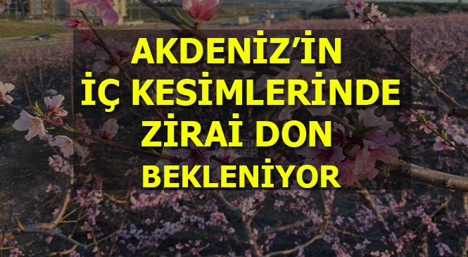 Akdeniz Bölgesinin İç Kesimlerinde Zirai Don Bekleniyor