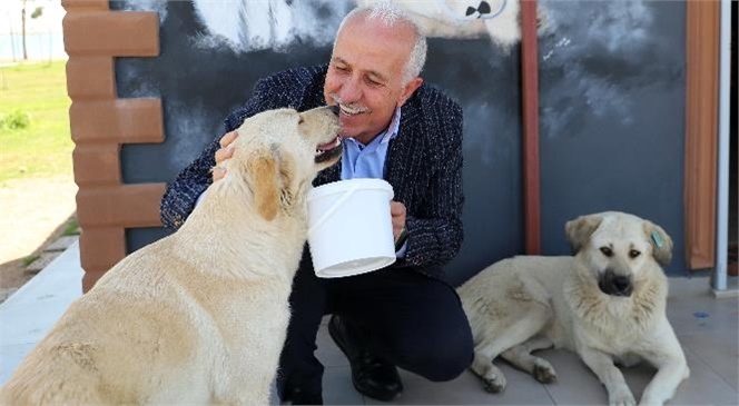 ‘bir Kap Su, Bir Kap Mama’ Çağrısıyla Buluştular