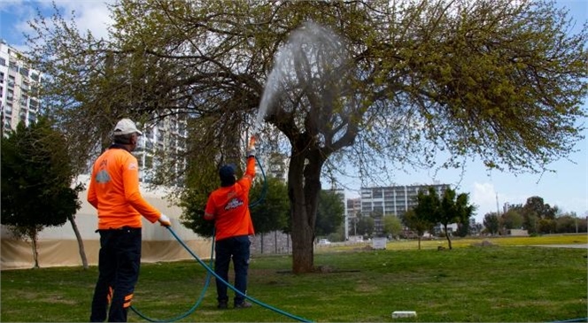 Mersin Büyükşehir’in İlaçlama Ekibi Yeşil Alanlarda Haşere Mücadelesini Artırdı