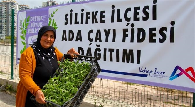 Mersin Büyükşehir’den Silifkeli Üreticiye 50 Bin Adet Ada Çayı Fidesi