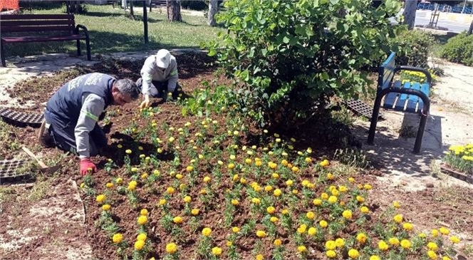 Akdeniz Belediyesi, Park, Bahçe ve Yeşil Alanlarda Bakım, Onarım, Temizlik ve Tadilat Çalışmalarına Hız Verdi.