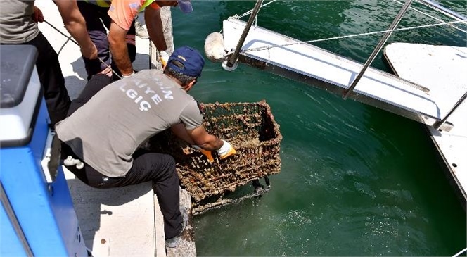 Mersin Büyükşehir’den ‘deniz Yüzeyi ve Deniz Dibi Temizleme’ Etkinliği