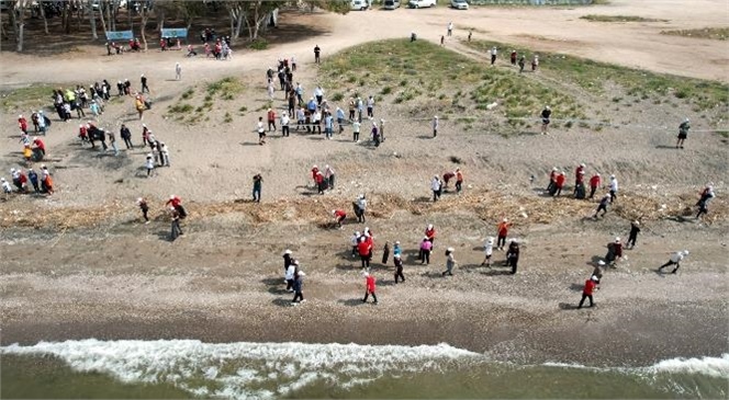 Caretta Carettaların Yuvalandığı Kazanlı Sahili Temizlendi