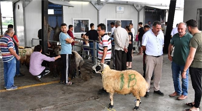 Mersin Büyükşehir’in Mezbahaları ve Mobil Kesim Ünitelerine Yoğun İlgi