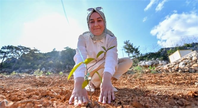 Büyükşehir’in Üreticilere Dağıttığı Passiflora Fideleri Büyümeye Başladı