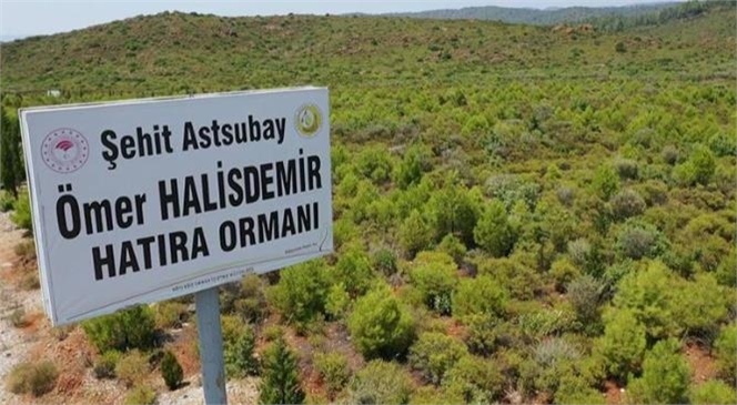 15 Temmuz Şehitleri ve Demokrasi Hatıra Ormanlarında Bugüne Kadar 300 Bin Fidan Toprakla Buluşturuldu