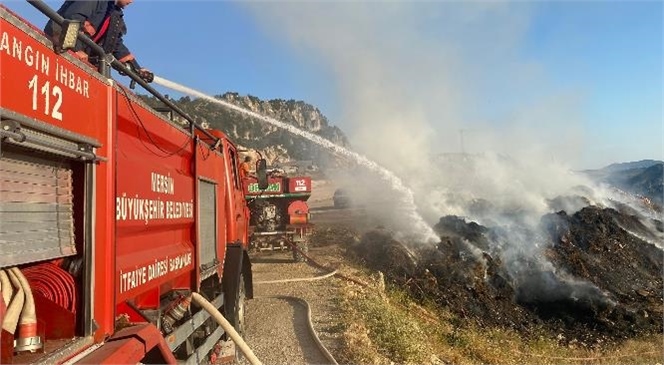 Biçilmiş Otların Döküldüğü Alanda Yangın Çıktı