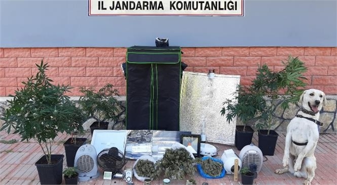 Mersin'de Uyuşturucu İmal Edenlere Yönelik Operasyon, 1 Şüpheli Tutuklandı