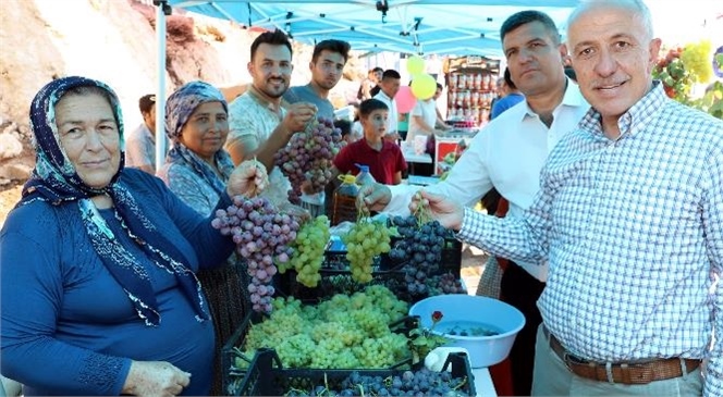 "Esenli Üzüm Şenliği Başlıyor"