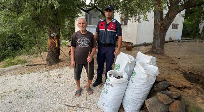 Mersin'de Keçiboynuzu Hırsızlığı Yapan 3 Şüpheli Şahıs Yakalandı