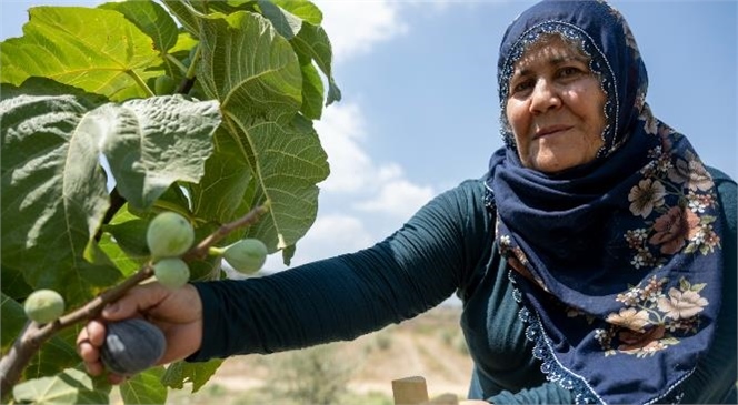 Mersin Büyükşehir’in Eli İlçelerde de Üreticilerin Umudu Oluyor