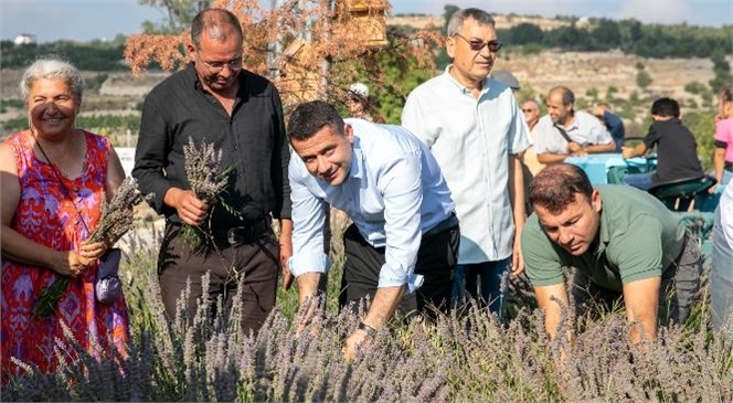 Mersin Büyükşehir İle Üreticiler Üretmeye ve Kazanmaya Devam Ediyor