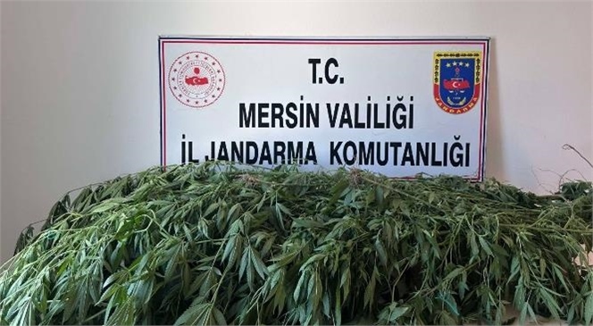 Mersin İl Jandarma Komutanlığı Ekiplerince Düzenlenen Uyuşturucu Operasyonlarında 3 Şüpheli Yakalandı