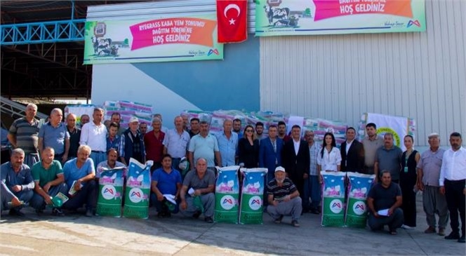 Mersin Büyükşehir Belediyesi Tarım Projeleriyle Tarsuslu Üreticilere Kaba Yem Desteği Sağlıyor