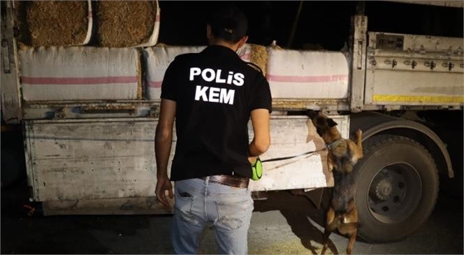 Mersin Polisi, Uyuşturucu Ticaretine Karşı Etkili Operasyon Düzenledi