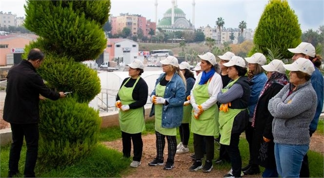 Büyükşehir’den Kadınlara Uygulamalı Budama Eğitimi, Kadınlar MEB Onaylı Sertifikaları İle İş Hayatına Atılabilecekler