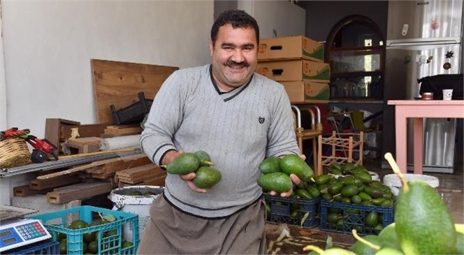 Mersin Büyükşehir, Üreticilere Alternatif Gelir Kapıları Oluşturmaya Devam Ediyor