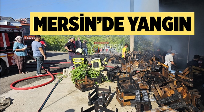 Mersin’de Yangın Korkusu