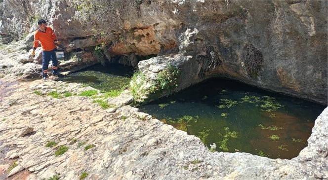 Mersin Büyükşehir Ekipleri, Çamlıyayla’da İlaçlama Çalışmalarını Sürdürüyor