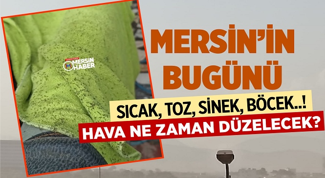 Mersin Genelinde Sıcak Hava ve Toz Taşınımı Etkili Oldu, Ortaya Çıkan Sinekler Vatandaşlara Zor Anlar Yaşattı