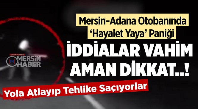 Mersin-Adana Otoban Yolunda Özellikle Gece Saatlerinde Yola Atlayan Kişiler Güzergahı Kullanan Sürücülerin Kabusu Oldu