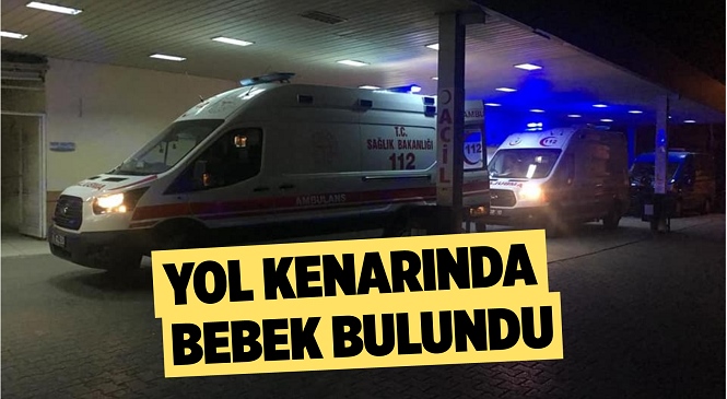 Mersin’de Çamlıyayla-Tarsus Karayolu Üzerinde Yol Kenarında Bebek Bulundu