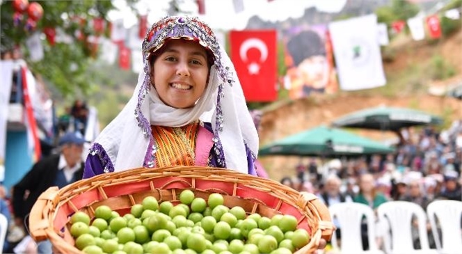 Büyükşehir’in Desteklediği ‘14. Gezende Erik Festivali’ Coşkuyla Kutlandı