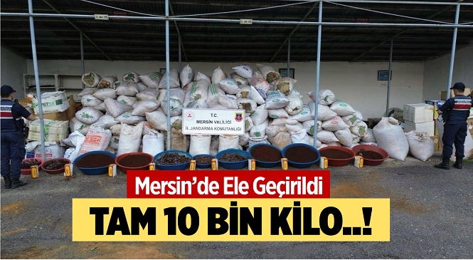 Mersin’de Jandarma’dan Kaçak Tütün Operasyonu