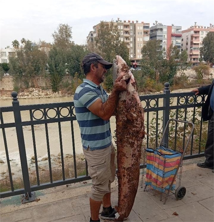 Kendi Boyunda Dev Yayın Balığını Eliyle Yakaladı: Silifke Göksu’da İnanılmaz Avcılık!