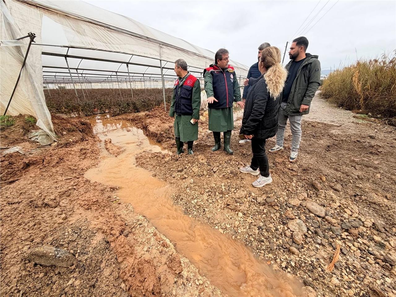 Mersin İl Tarım ve Orman Müdürü Karadağ Akdeniz İlçesinde İncelemelerde Bulundu
